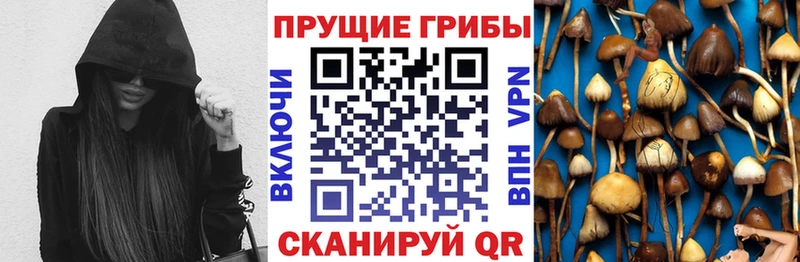Галлюциногенные грибы Psilocybine cubensis  Купить закладки  Прохладный 